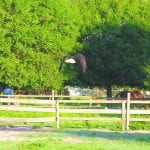 article image - 